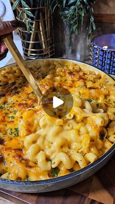 Non Dairy Cheese, Vegan Baked, Cheese Baked, Baked Mac N Cheese, Vegan Mac And Cheese, Baked Mac, Thanksgiving Holiday, Vegan Cheese, Vegan Baking