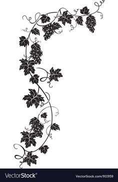 vine with leaves and berries on white background