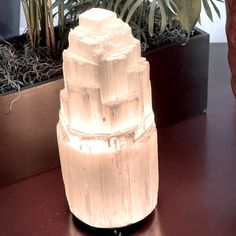 a large crystal tower sitting on top of a wooden table next to potted plants