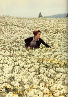 a woman in a field full of white flowers