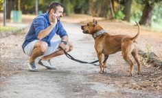 a man kneeling down while talking on a cell phone next to a brown dog with a leash