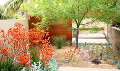 an outdoor garden with orange flowers and trees