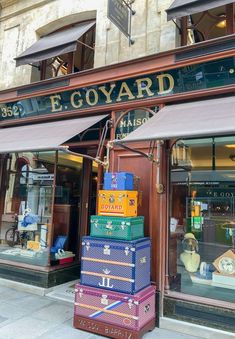 Goyard Trunk, Goyard Handbags, Goyard Tote, Image Swag, Kids Diet, Travel Handbags, Paris Travel, Womens Purses