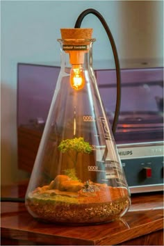 a lamp that is sitting on top of a table next to a plant in a glass vase