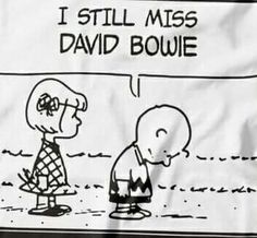 a comic strip with a cartoon character saying, i still miss david boulie