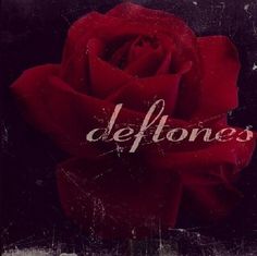 a red rose with the word deftones written on it