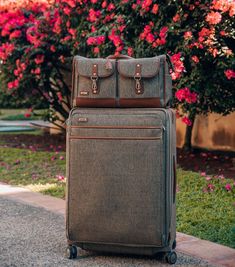 Hartmann Luggage on Instagram: “Wishing you a very Happy Easter! 🌷🐇” Plant Tree, Bag Suitcase, April 12, Suitcases, Very Happy, Outdoor Storage Box, Happy Easter, Photo Sharing