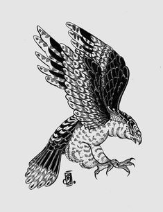 a drawing of an eagle flying with its wings spread out and it's talon extended