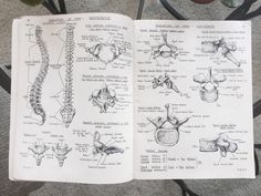 an open book with drawings of human bones and their functions in it on a table