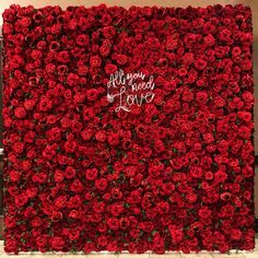 a large red flower wall with the words all you need is love written on it