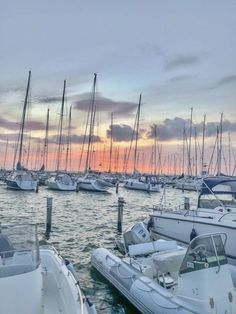 many boats are docked in the water at sunset