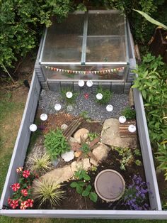 a small garden with rocks and plants in it