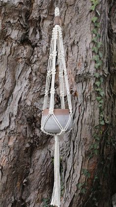 a rope hanging from the side of a tree