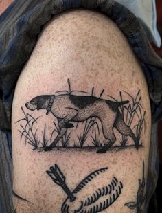 a man with a tattoo on his arm that has a dog and fish in it