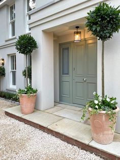 two large potted plants sitting on the side of a building next to a door