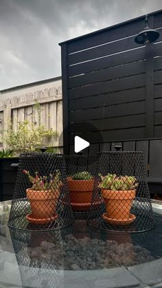 three potted plants sitting on top of a glass table in front of a black fence