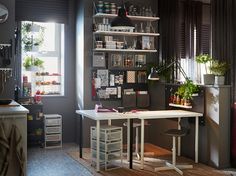 a room filled with lots of plants next to a desk and shelves on the wall