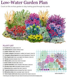 an illustrated garden plan with flowers and plants