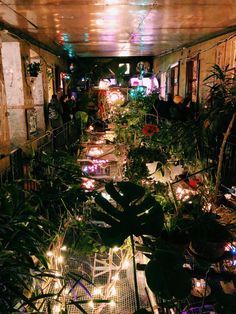 a room filled with lots of plants and lights