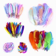 several different colored feathers on a white background