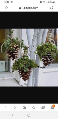 three pine cones hanging from a tree in front of a window with green plants on them