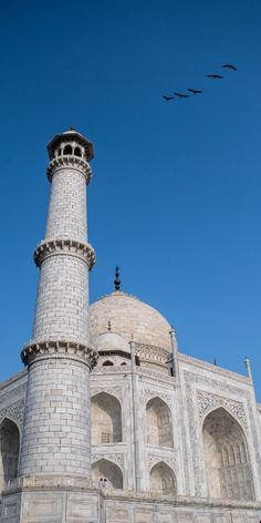 two birds are flying over the taj - i, which is one of the most famous buildings in the world