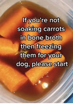 Frozen Carrot Dog Treats, Carrots In Bone Broth For Dogs, Bone Broth Carrots For Dogs, Beef Broth Dog Treats, Cold Dog Treats Homemade, Dehydrated Pet Treats, Carrot Bone Broth Dog Treat, Homemade Pet Treats Dog Food Recipes, Dog Carrot Treats