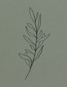 a black and white photo of a single leaf on a gray background with space for text