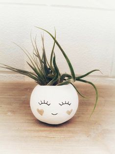 an air plant sitting in a white ceramic pot with eyes drawn on it's face