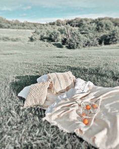 a blanket and some oranges laying on the ground in an open field with trees