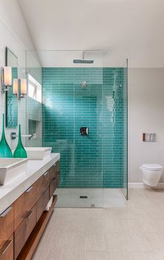 a bathroom with two sinks, a toilet and a walk in shower next to each other