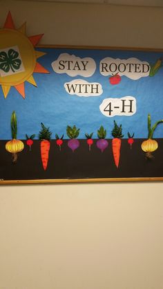 a bulletin board with carrots and the words stay rooted with 4 - h