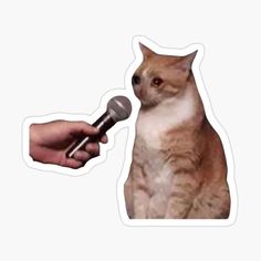 a hand holding a microphone with a cat sticker next to it on a white background