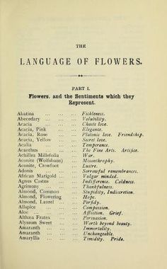 the language of flowers, part i flower and the sonnets which they represent by person