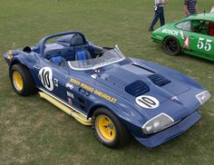 a blue race car parked on top of a grass covered field next to a forest