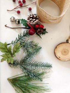 pine cones, evergreen needles, and berries are arranged on a white surface next to a wood slice