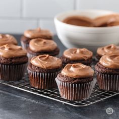 chocolate cupcakes with frosting on a cooling rack