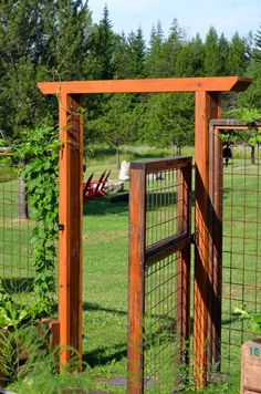 an outdoor area with a gate and some plants