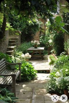 a bench sitting in the middle of a garden