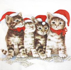 three kittens wearing santa hats and sitting on top of each other in front of papers