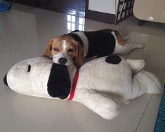 a dog laying on the floor next to a large stuffed animal that looks like a dog