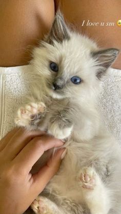 a white kitten with blue eyes is being held by someone's arm and the caption says i love it sin