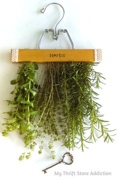 herbs are hanging on a hook with the word herbs