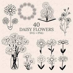 daisy flowers in vases with the words 40 daisy flowers svg - png