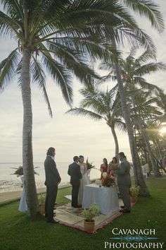 a couple getting married under a palm tree