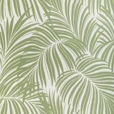 a green and white wallpaper with palm leaves