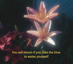 two flowers with a quote on the bottom that says, you will bloom if you take the time to water yourself