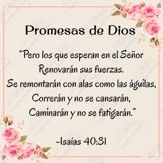 a pink rose frame with the words promas de dios in spanish and english