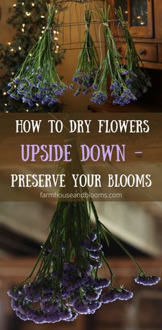 two pictures of statice drying upside down Dry Hanging Flowers, How To Dry Flower Bouquet, How To Dried Flowers Diy, Drying Flowers For Bouquets, Dried Flowers How To, How To Hang Flowers To Dry, Diy Flower Drying, Hang Drying Flowers, Kitchen Dried Flowers