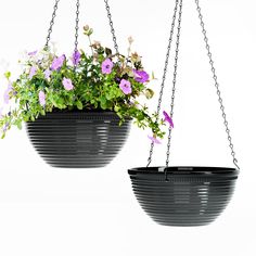 two hanging planters filled with purple and white flowers, one is holding green plants